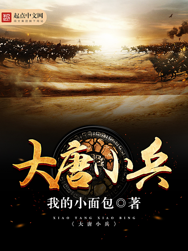 大唐小兵 大唐小兵