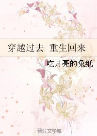 穿越过去 重生回来 穿越过去 重生回来