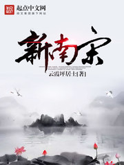 新南宋 新南宋