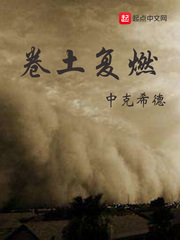 卷土复燃 卷土复燃