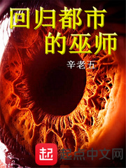 回归都市的巫师 回归都市的巫师