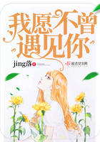 我愿不曾遇见你 我愿不曾遇见你