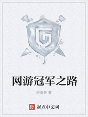 网游冠军之路 网游冠军之路