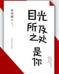 目光所及之处是你 目光所及之处是你