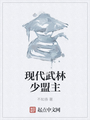 现代武林少盟主 现代武林少盟主