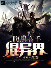腹黑高手混异界 腹黑高手混异界