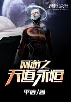 网游之天道永恒 网游之天道永恒