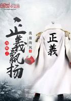 海贼之正义飘扬 海贼之正义飘扬