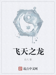 飞天之龙 飞天之龙