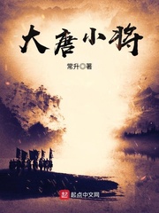 大唐小将 大唐小将