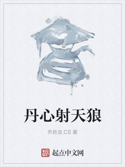 丹心射天狼 丹心射天狼