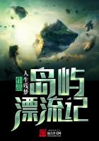 岛屿漂流记 岛屿漂流记