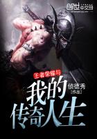 王者荣耀与我的传奇人生 王者荣耀与我的传奇人生