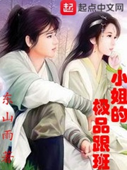 小姐的极品跟班 小姐的极品跟班