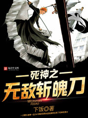 死神之无敌斩魄刀 死神之无敌斩魄刀