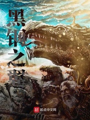 黑钢之翼 黑钢之翼