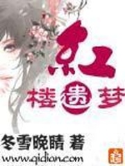 红楼遗梦 红楼遗梦