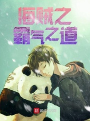 海贼之霸气之道 海贼之霸气之道