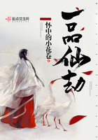 一品仙劫 一品仙劫