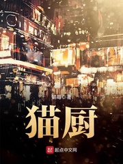 猫厨 猫厨