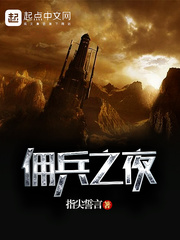 佣兵之夜 佣兵之夜