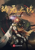 骗无止境 骗无止境