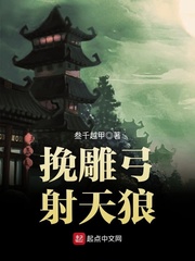 挽雕弓射天狼 挽雕弓射天狼