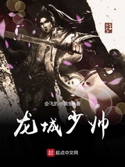 龙城少帅 龙城少帅