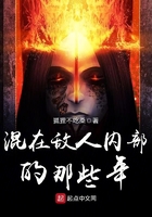 混在敌人内部的那些年 混在敌人内部的那些年