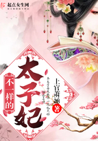 不一样的太子妃 不一样的太子妃