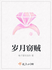 岁月窃贼 岁月窃贼