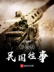 二战之民国往事 二战之民国往事