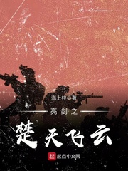 亮剑之楚天飞云 亮剑之楚天飞云