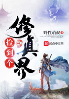 捡到个修真界 捡到个修真界