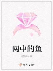 网中的鱼 网中的鱼