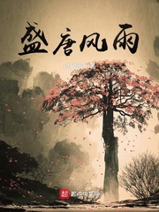 盛唐风雨 盛唐风雨