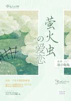 萤火虫的爱恋 萤火虫的爱恋