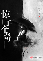 惊了个奇 惊了个奇