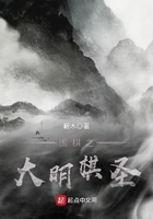 围棋之大明棋圣 围棋之大明棋圣