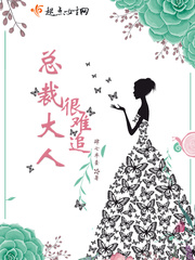 总裁大人很难追 总裁大人很难追
