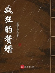 疯狂的赘婿 疯狂的赘婿