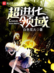 超进化领域 超进化领域
