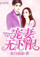 禁欲Boss生猛!宠妻,无下限 禁欲Boss生猛!宠妻,无下限