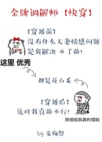金牌调解员 金牌调解员