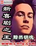 新喜剧之王 新喜剧之王