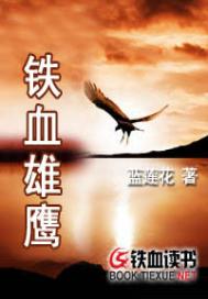 铁血雄鹰 铁血雄鹰