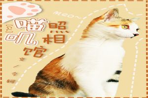 喵叽照相馆 喵叽照相馆