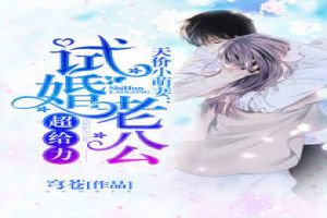 天价小萌妻:试婚老公超给力 天价小萌妻:试婚老公超给力