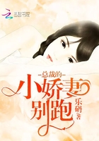 总裁的小娇妻高分小说 总裁的小娇妻高分小说
