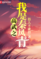 高武之我是秦凤青TXT下载 高武之我是秦凤青TXT下载